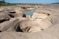 Three thousand waving the rocks beneath the Mekong river, Ubon R Royalty Free Stock Photo