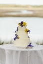 Three tiered wedding cake at outdoor reception Royalty Free Stock Photo
