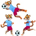 Three tigers as the footballers in uniform in dynamic poses with the soccer ball