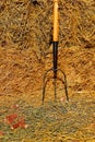 three tined fork leans against a straw pile.