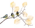 Three tits on tree branch with yellow leaves Royalty Free Stock Photo