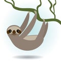 Three-toed sloth on green branch on white