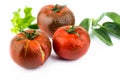 Three tomato with herb leaf on white. Royalty Free Stock Photo