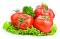 Three tomato, paprica, parsley and lettuce Royalty Free Stock Photo