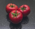 Three tomatoes on black background