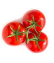 Three tomatoes on a branch isolated on a white background,top view Royalty Free Stock Photo