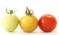 Three tomatoes colorful on white background Royalty Free Stock Photo