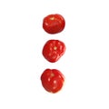 Three tomatoes isolated. Whole tomato white background. Falling tomatoes side view composition. Full depth of field Royalty Free Stock Photo