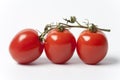 Three Tomatoes On A Vine On White Background Royalty Free Stock Photo