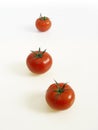 Three tomatos Royalty Free Stock Photo