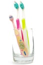 Three tooth brushes Royalty Free Stock Photo