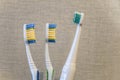 Three toothbrushes close-up. Family dental care