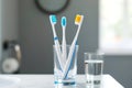 Three toothbrushes are in a glass of water Royalty Free Stock Photo
