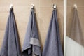 Three towels are hanging on the wall in the bathroom Royalty Free Stock Photo