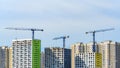 Three tower cranes build a modern panel houses Royalty Free Stock Photo