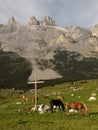 The Three Towers in the Raetikon mountains Royalty Free Stock Photo