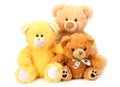 three toy teddy bears isolated on white background Royalty Free Stock Photo