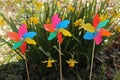 Three pinwheel toys in front of blooming daffodils