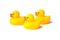 Three toy yellow rubber ducks for swimming, isolated on a white background. Side view Royalty Free Stock Photo