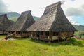 Three traditional houses in the Wologai village near Kelimutu in East Nusa Tenggara taken on April