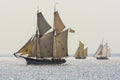 Three traditional sailing gaffriggers