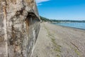 Three Tree Point At Low Tide 3