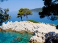 Three trees of Amarandos on Skopelos island Royalty Free Stock Photo