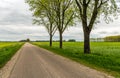 Three trees beside a seemingly endless country road Royalty Free Stock Photo