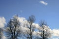 Three trees silhouette on blue sky with white clouds Royalty Free Stock Photo