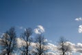 Three trees silhouette on blue sky with white clouds as spring background Royalty Free Stock Photo