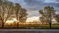 Three Trees Sun Backlit Royalty Free Stock Photo