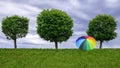 Three trees and an umbrella on a background cloudy sky