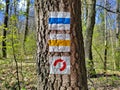 Three trekking path signs painted on the tree trunk Royalty Free Stock Photo