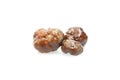 Three Truffle mushroom. White gourmet truffle mushroom isolated on white background Royalty Free Stock Photo