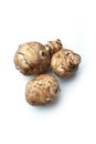 Three tubers Jerusalem artichokes or sunbeams isolated on white background Royalty Free Stock Photo