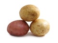 Three tubers red white potatoes isolated on white background Royalty Free Stock Photo