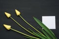 Three tulips on grunge wooden background with empty paper Royalty Free Stock Photo