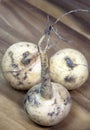 Three turnips on a wooden table