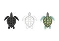 Three turtle styles black silhouette outline and realistic color rendering isolated on transparent background Royalty Free Stock Photo