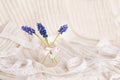 Three twigs with small purple flowers bellflowers on a delicate pastel background