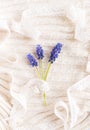 Three twigs with small purple flowers bellflowers on a delicate pastel background