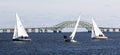 Three two person sailboats in front of the Great South Bay bridge on a windy December afternoon Royalty Free Stock Photo