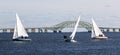 Three two person sailboats in front of the Great South Bay bridge on a windy December afternoon Royalty Free Stock Photo