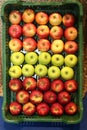 Three types of apples on the retail market Royalty Free Stock Photo