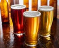 Three types of beer, red ale, IPA, and stout Royalty Free Stock Photo