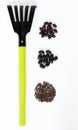 Three types of black seeds and a rake on a white background