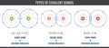 Three types of covalent bonds including single, double, and triple bonds