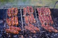 Three types of meat sausages are fried on the grill bright summer evening