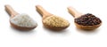 Three types of rice in the wooden spoons Royalty Free Stock Photo