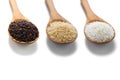 Three types of rice in the wooden spoons Royalty Free Stock Photo